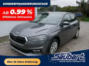 Skoda Fabia Selection 1.0 TSI *NAVI-ÜBER-SMARTLINK*LED*PDC-HI*