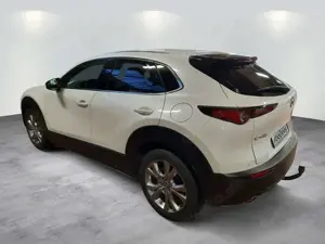 Mazda CX-30 Bild 5