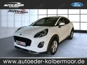 Ford Puma Titanium Sportpaket Bluetooth Navi LED Klima