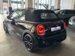 MINI Cooper S Cabrio NAVI PROF LED LEDER ASSISTENZ+ Bild 3