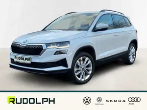Skoda Karoq 2.0 TDI DSG 4x4 Style AHK StandHZG Keyless Gar. Sc
