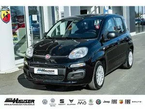 Fiat New Panda ICON Hybrid 1.0 GSE TEMPOMAT PDC LANE KLIMA 5-SITZ
