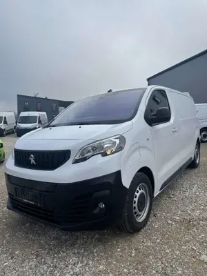 Peugeot Expert Kasten Standard Elektromotor