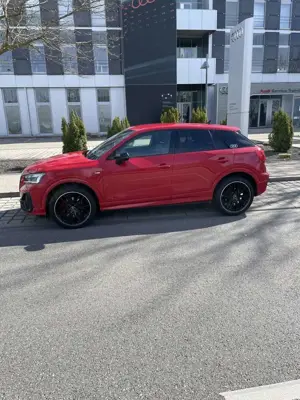 Audi Q2 Q2 35 TFSI S tronic 2xS- line AHK Matrix LED Leder