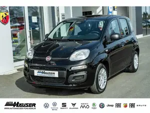 Fiat New Panda ICON Hybrid 1.0 GSE TEMPOMAT PDC LANE KLIMA 5-SITZ
