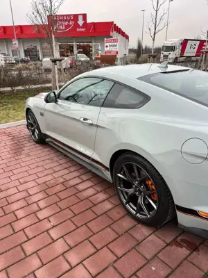 Ford Mustang Mustang Fastback 5.0 Ti-VCT V8 Aut.MACH1