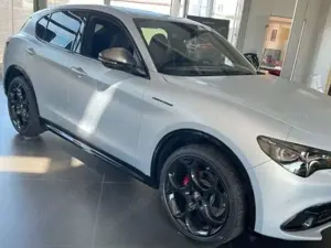 Alfa Romeo Stelvio Stelvio 2.0 Turbo 16V AT8-Q4 Competizione