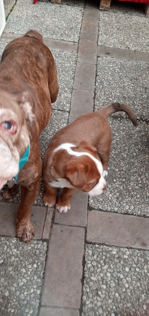 Ich suche ein Zuhause 