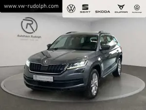 Skoda Kodiaq 2.0 TSI 4x4 DSG Ambition / Navi RFK
