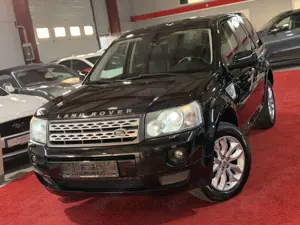 Land Rover Freelander SE SD4*XENON*NAVI*LEDER*PDC
