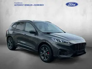 Ford Kuga 2.5 Duratec PHEV ST-LINE X Bild 5