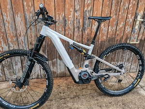 Focus Sam2 6.0 Gr. L neuer Bosch Race Motor