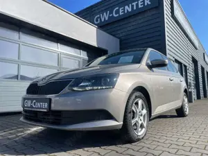 Skoda Fabia DSG-Automatik / Tempomat ACC/ 1. Hand