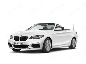 BMW 218 i Cabrio M Sport Navi Business Klimaaut. PDC