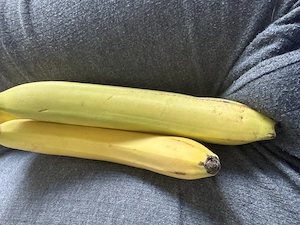 Aktiv suche freundschaftlich passiv 