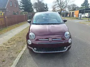 Fiat 500 500 1.2 8V Lounge Bild 2