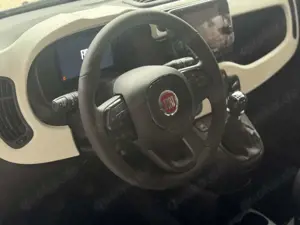 Fiat Panda 1.0 GSE Hybrid Cross Bild 2