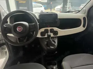 Fiat Panda 1.0 GSE Hybrid Cross Bild 3