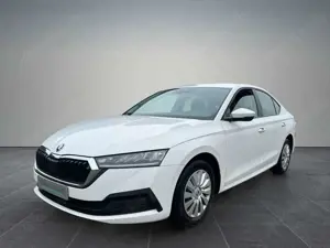 Skoda Octavia 2.0 TDI 110kW DSG AMBITION