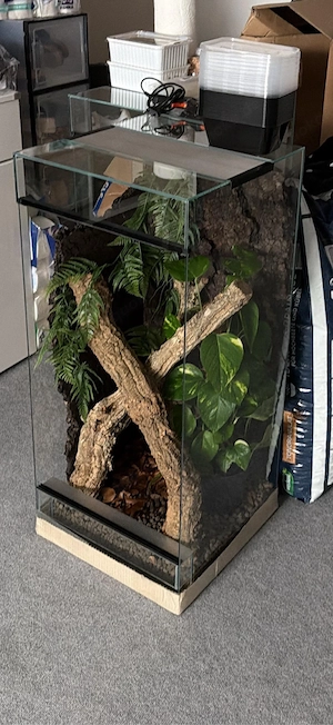 Terrarium NEU 3x 40x40x90 Glas