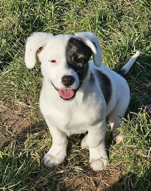 Nayeli - wartet irgendwo auch meine Familie?