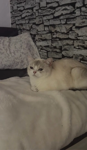 snow in liebevolle hände abzugeben 