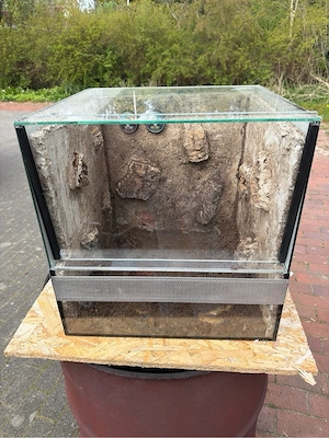 terrarium , spinnen würfel 40x40x40