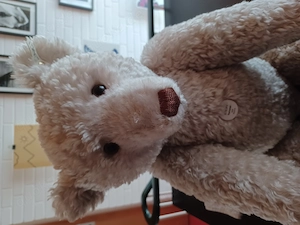STEIFF Teddy, Replica 1908, 65 cm Bild 4