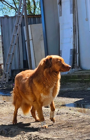Lezia   eine Seele, die lernen möchte zu vertrauen