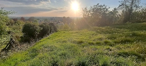 Gartengrundstück 1.606 qm, kann auch als zwei Gartengrundst. 800-806 qm verkauft werden, siehe Text