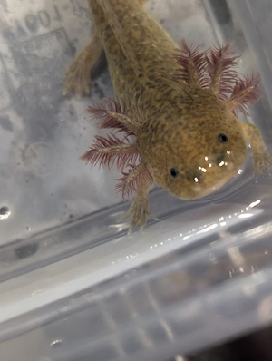 Wir suchen ein neues Zuhause !