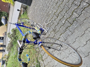 Pinarello Stelvio Rad 