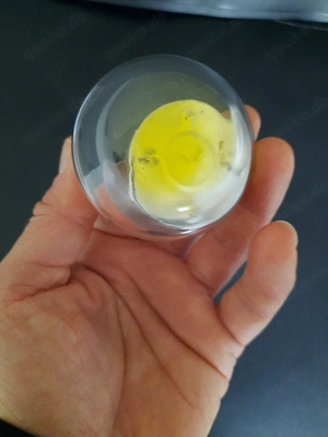 Teelichthalter aus Glas ca. 6cm hoch Windlicht Bild 3