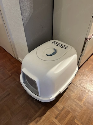 3 Europäische Hauskatzen Bild 7