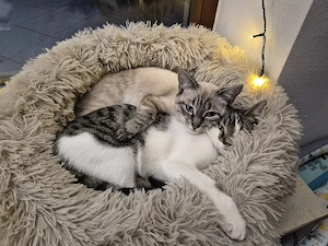 unsere mäuse dürfen ausziehen