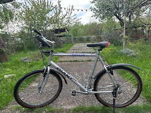 Herren Fahrrad "Giant" in gutem Zuschtand