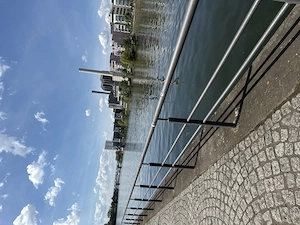 Aktiv suche junge passive für Freundschaft 