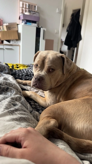 butsch sucht sein Haus und Hof Bild 3