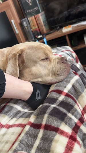 butsch sucht sein Haus und Hof Bild 5