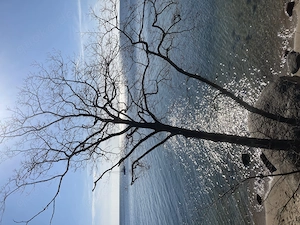 60 Jahre und kein bisschen weise