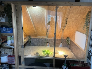 Zimmerterrarium 3 x 2 m zu verkaufen 
