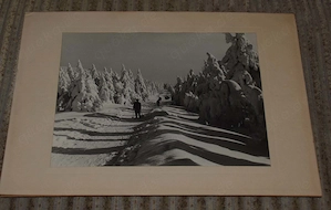 12 Org. Fotos 24 x 30 Winter Harz um 1960