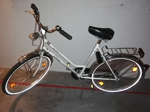 Damenfahrrad Küsting Niro Style, 26 Zoll