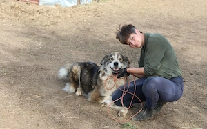 Flauschbär Joker suchht ein Zuhause