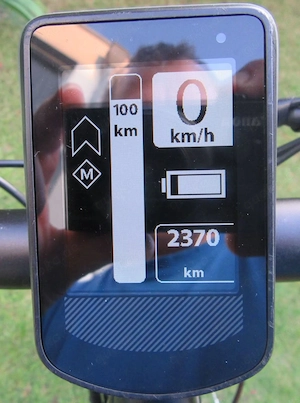 Z10 Z15 Display Alber Xion Neodrive Bulls Green Mover Releigh u.s.w. Professionelle Reparatur