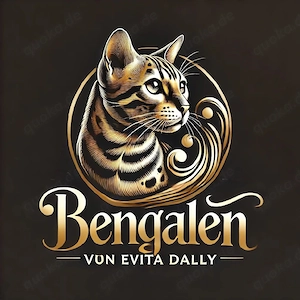 Bengal Katzen 1 Jahr alt mit Stammbaum 