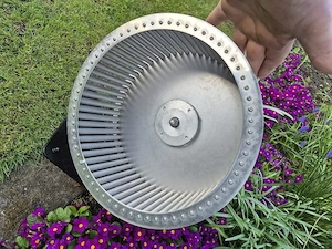 Eichhörnchen Laufrad 