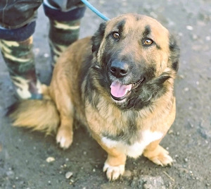 *Fred*kleiner Charmeur sucht das große Glück