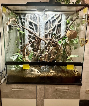 Terrarium (90x45x90) & Zubehör