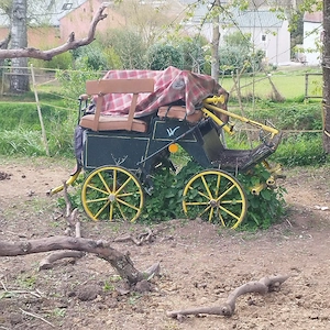 kutsche Haflingergröße Marathon 